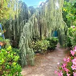 écrin De Verdure De 45 M2 - à 400m - Jardin, Parking Privé, Wifi Le Brusc
