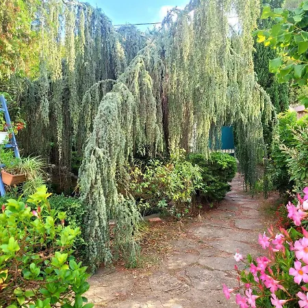 Ecrin De Verdure De 45 M2 - A 400m - Jardin, Parking Prive, Wifi Le Brusc